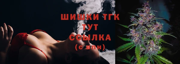 тгк Богородск